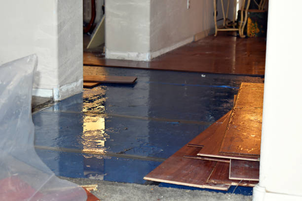 Professional Flood Cleanup technician working in Millis, MA